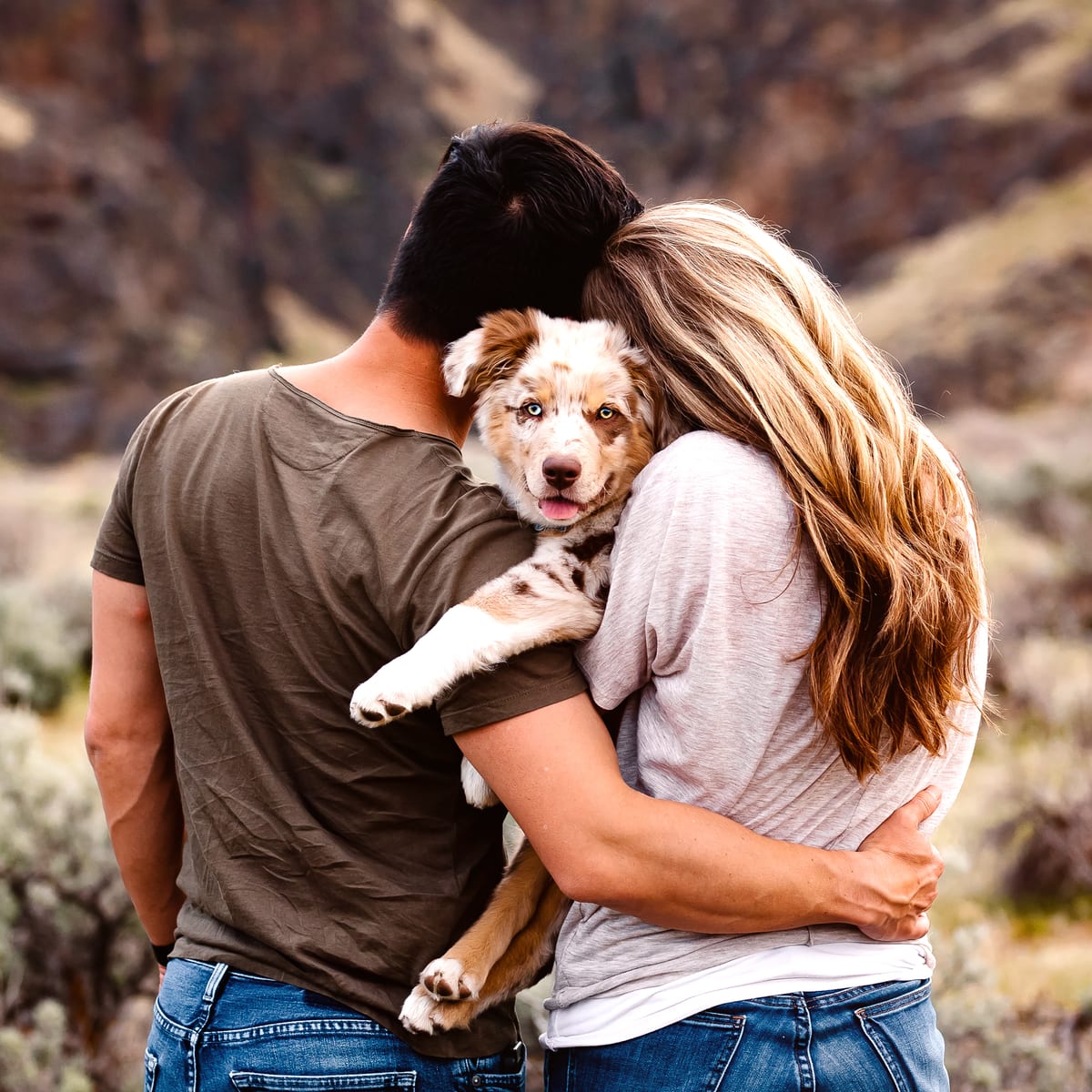 A couple, backs to the camera, holding a puppy together while looking out at a canyon vista.