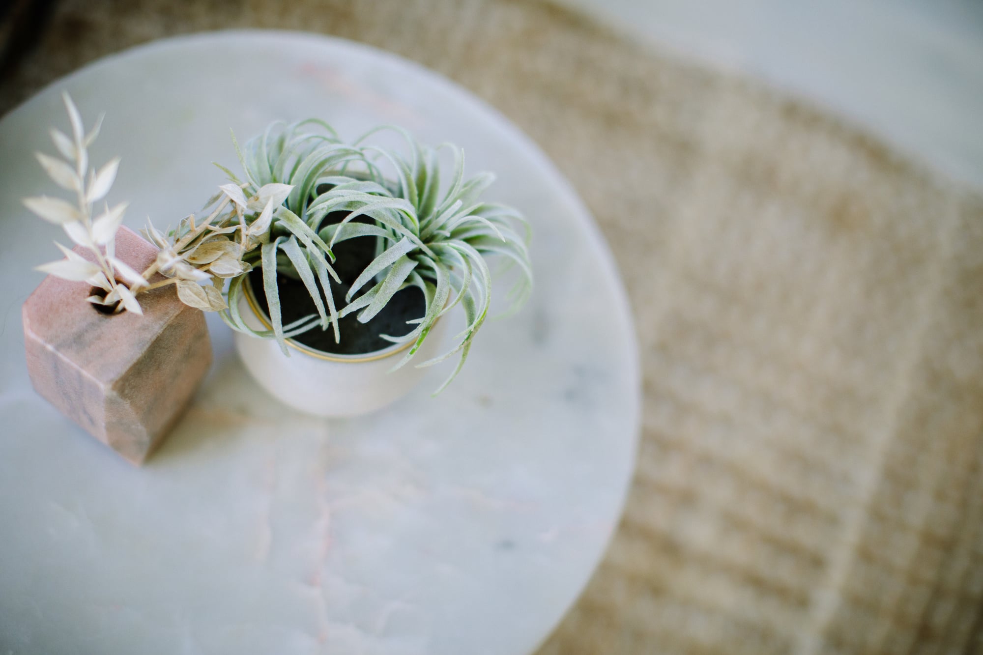 An air plant in a white ceramic pot beside dried botanicals in a small wooden vase, on a marble side table over a jute rug — a quiet pause.